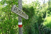 27 Sulla 'Via delle castagne' (Sent. CAI 50A) da Piazza Martina a  Poscante